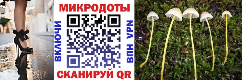 цены наркотик  Отрадное  Псилоцибиновые грибы Psilocybine cubensis 